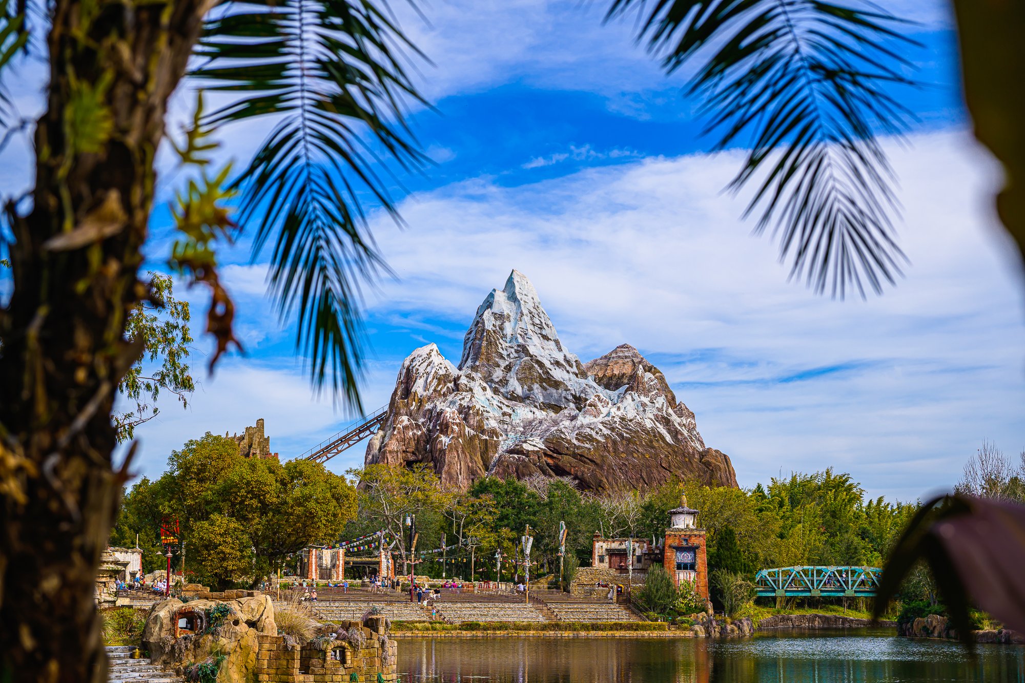 Animal Kingdom gallery